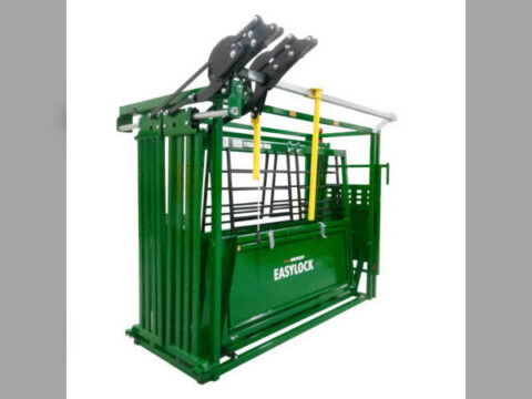 2025 ARROWQUIP 3300LMR
